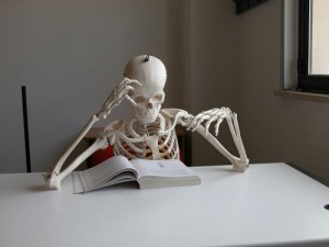 studiare-scheletro[1]
